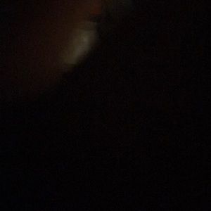 Meet your Posher, Avery